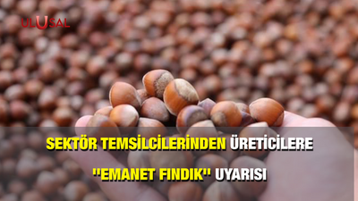 Sektör temsilcilerinden üreticilere ''emanet fındık'' uyarısı